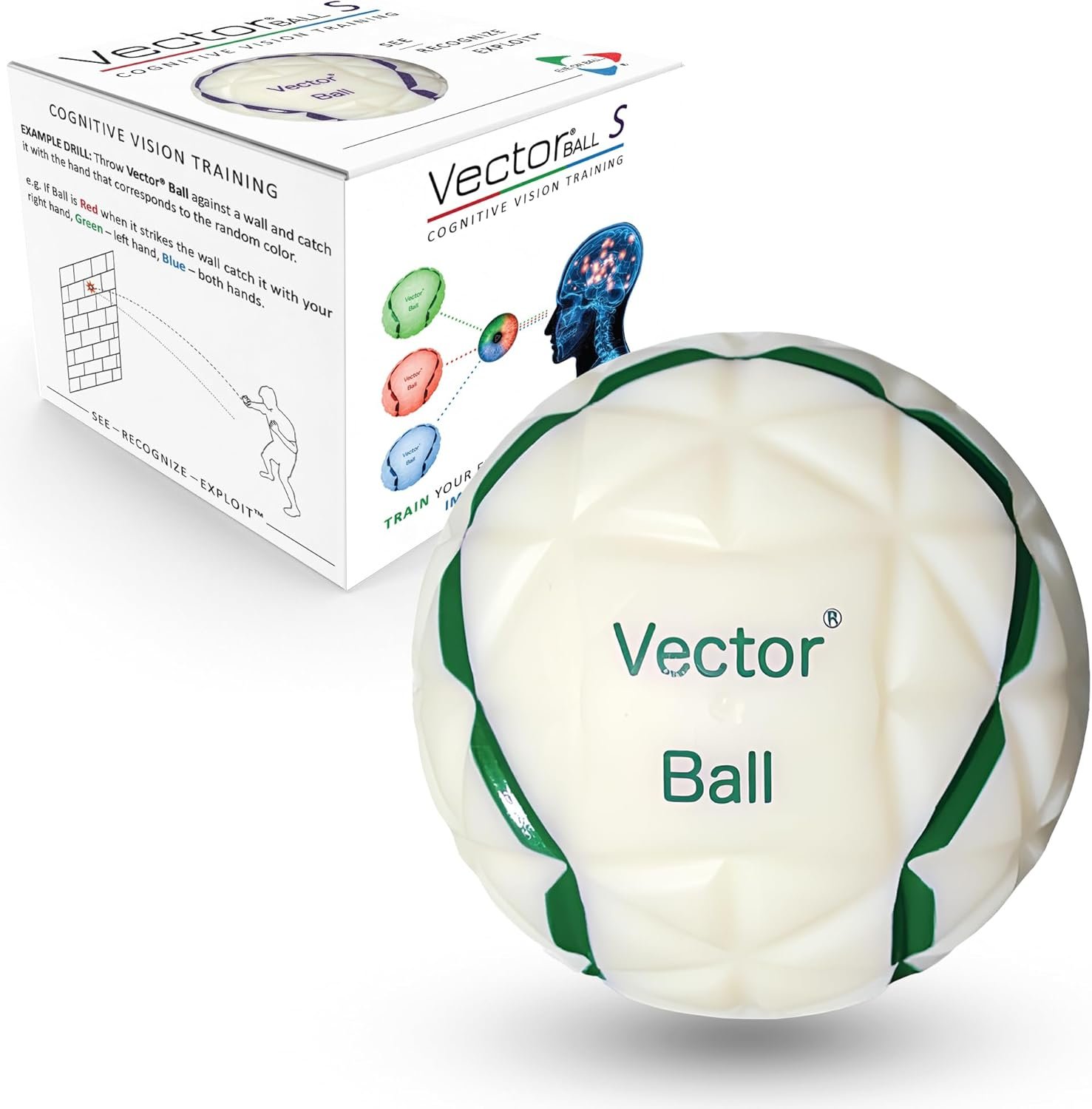 Vector Ball S Neuro-Visual Reaction Ball for Improving Sports Quickness, Focus, Agility, Speed, Hand Eye Coordination – Waterproof, Impact Color-Changing Reflex Trainer – Cognitive Training Tool